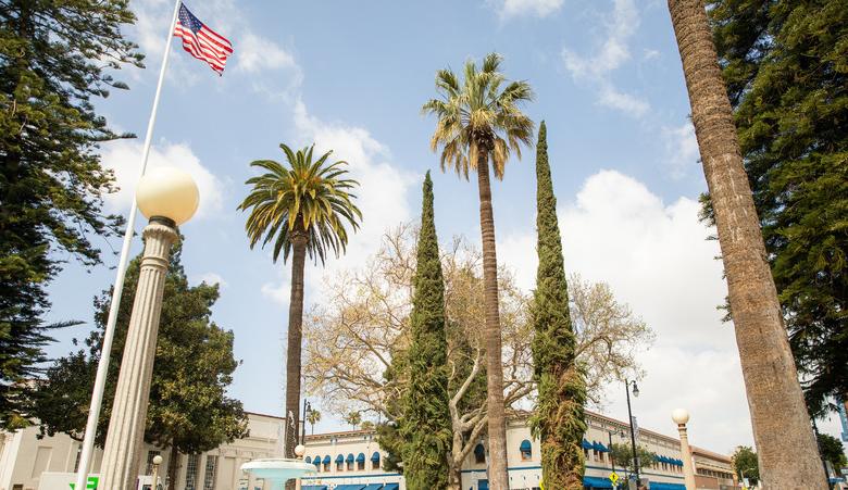 American flag flying over palm trees